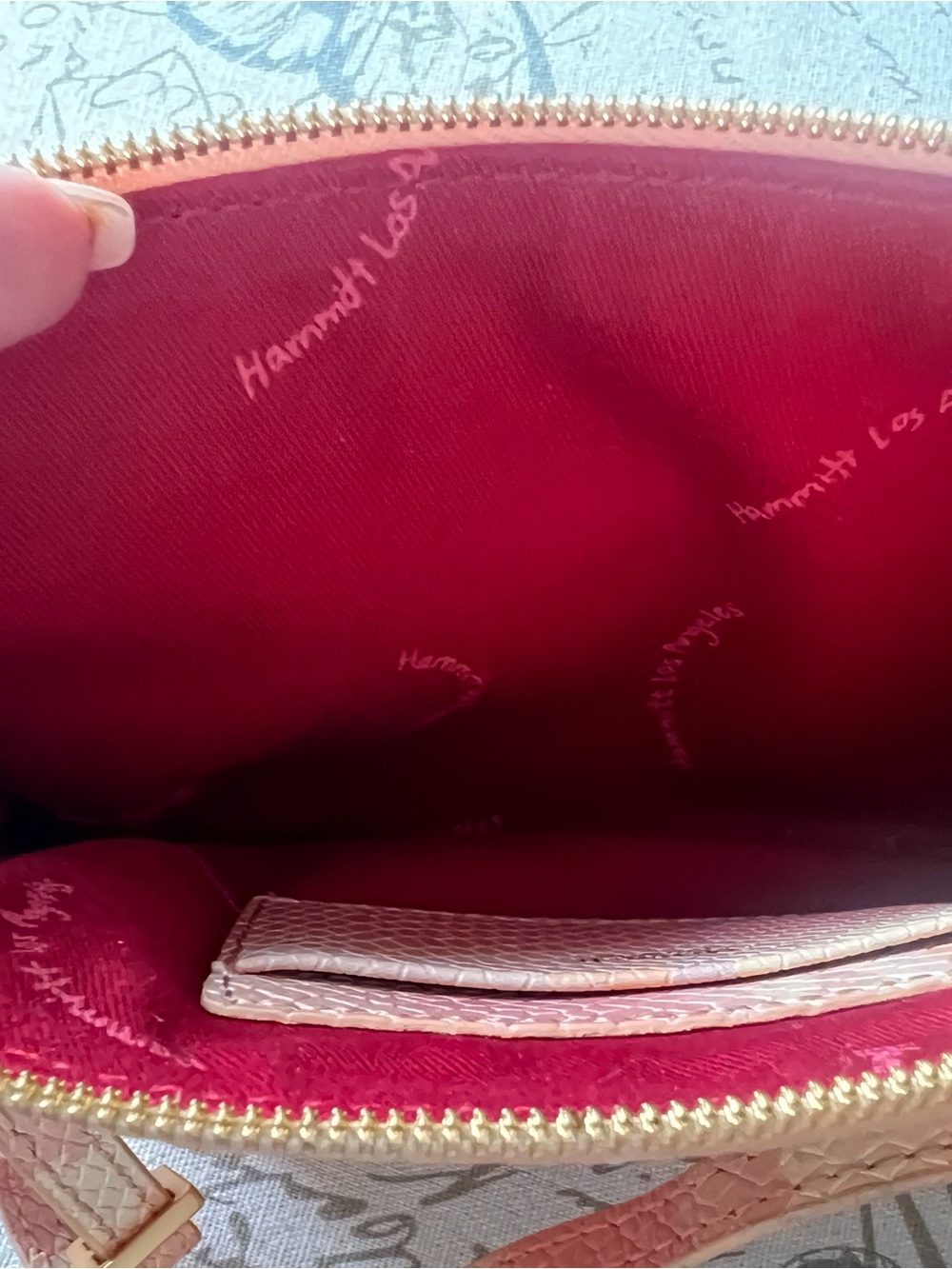 Hammitt Nash Pink Himalayan Gradient Wristlet Crossbody with Gold-Tone Accents - Picture 9 of 10